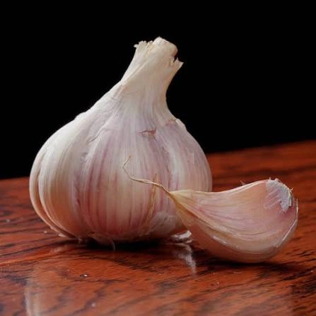 Garlic Bulb